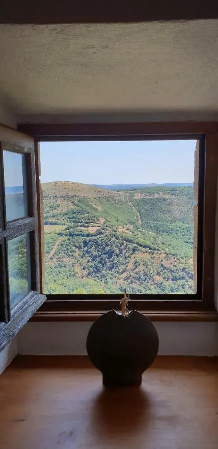 La Petite Maison des Artistes Castelnau-Pégayrols Hébergement de vacances